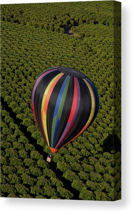 Tranquility Canvas Print featuring the photograph Hot Air Balloon by Holly Harris