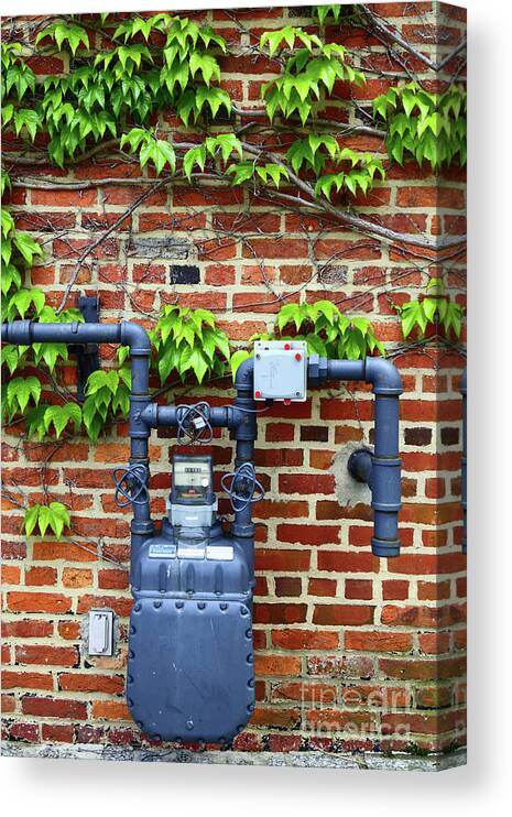 Gas Meter Canvas Print featuring the photograph Japanese Creeper and Gas Meter by James Brunker
