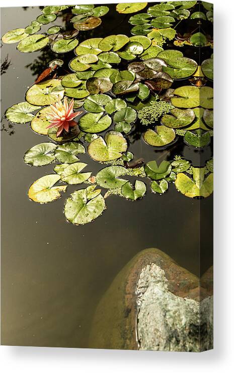 Landscapes Canvas Print featuring the photograph Japanese Garden-3 by Claude Dalley