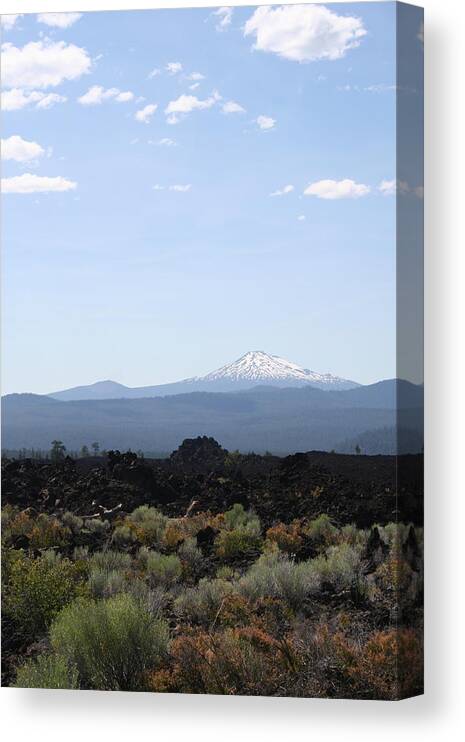 Lava Bed Bachelor Canvas Print featuring the photograph Lava Bed Bachelor by Dylan Punke