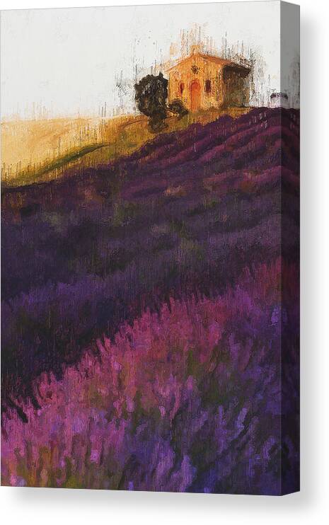 Lavender Canvas Print featuring the painting Lavender fields - 13 by AM FineArtPrints