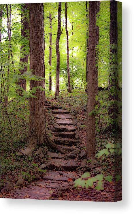 Woods Canvas Print featuring the photograph Lets Take A Walk by Diane Lindon Coy