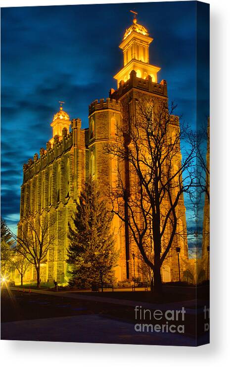 Logan Ut Canvas Print featuring the photograph Logan Temple Tree Silhouette by Adam Jewell