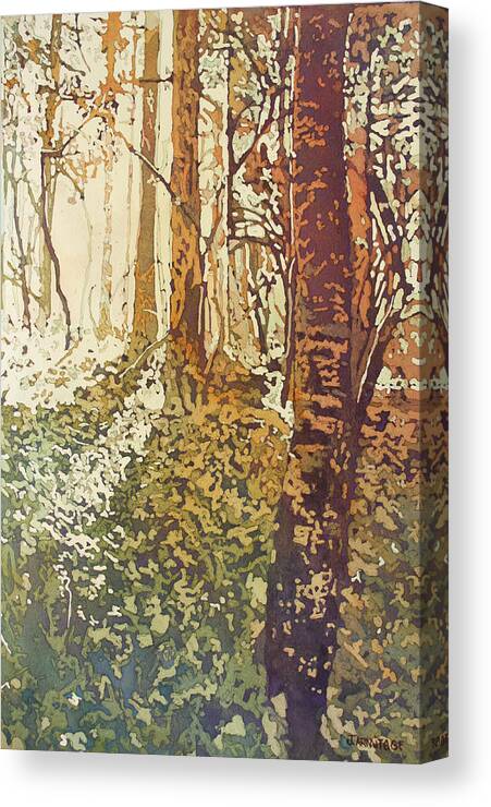 Forest Canvas Print featuring the painting Looking Up Towards Home by Jenny Armitage