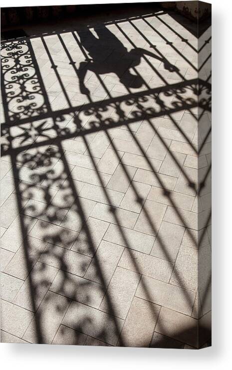 Hand Raised Canvas Print featuring the photograph Mans Shadows Near Ornate Iron Fence by Grant Faint