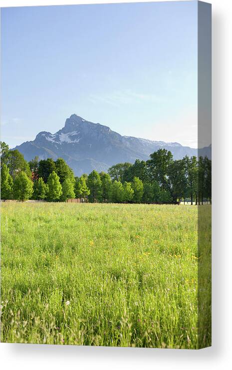 European Alps Canvas Print featuring the photograph Meadow by Phototiger