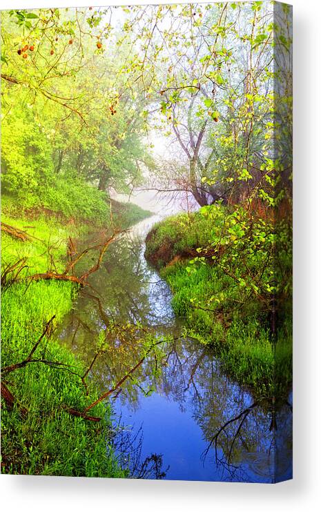 Carolina Canvas Print featuring the photograph Meandering through the Forest Glen by Debra and Dave Vanderlaan
