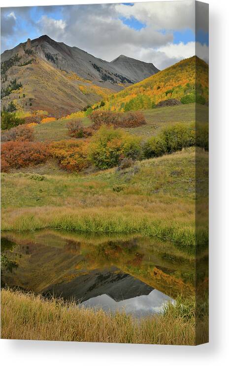 Telluride Canvas Print featuring the photograph Mirror Image in Ranch Pond by Ray Mathis
