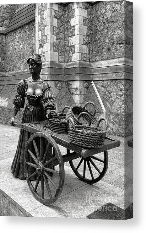 Molly Canvas Print featuring the photograph Molly Malone by Olivier Le Queinec