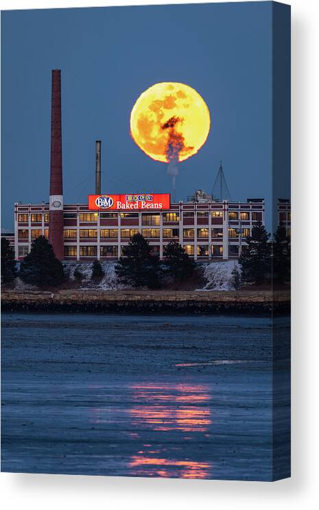Maine Canvas Print featuring the photograph Moon Beans II by Colin Chase