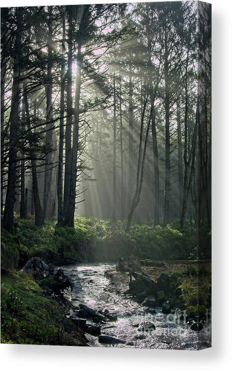 Fog Canvas Print featuring the photograph Morning Mist by Craig Leaper