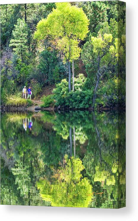 Trees Canvas Print featuring the photograph Morning Walk by Dan McGeorge