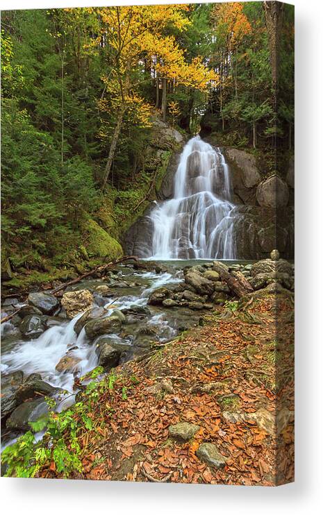 Waterfall Canvas Print featuring the photograph Moss Glen Falls In Vt by Galloimages Online
