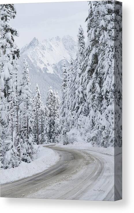 Mount Baker-snoqualmie National Forest Canvas Print featuring the photograph Mount Baker Highway II by Alan Majchrowicz