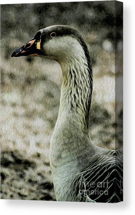Duck Canvas Print featuring the digital art My Good Side by Kenneth Montgomery