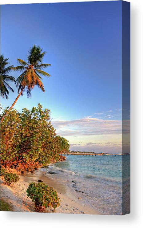 Scenics Canvas Print featuring the photograph Oistins Beach, Barbados by Michele Falzone