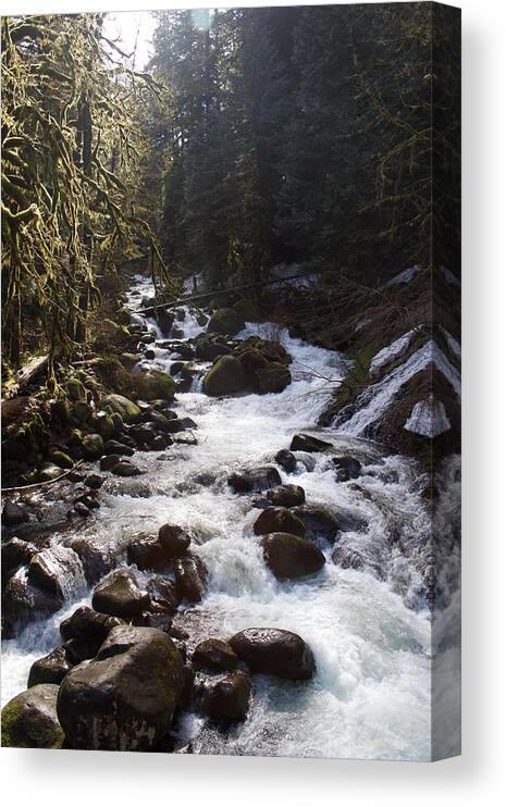 Oneonta Creek Canvas Print featuring the photograph Oneonta Creek by Dylan Punke