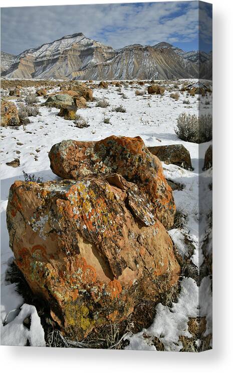 Book Cliffs Canvas Print featuring the photograph Ornate Colorful Boulders in the Book Cliffs by Ray Mathis