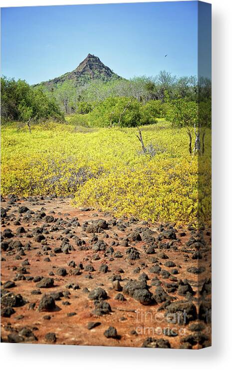 Mountain Canvas Print featuring the photograph Other World by Becqi Sherman