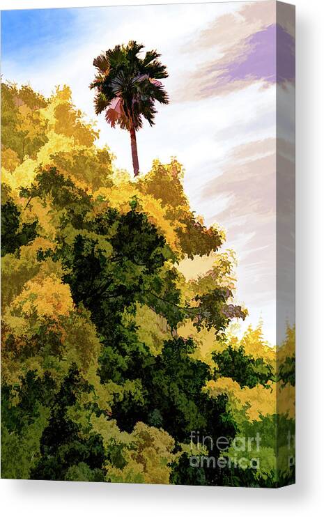 Art Canvas Print featuring the photograph Palm above the Trees by Roslyn Wilkins