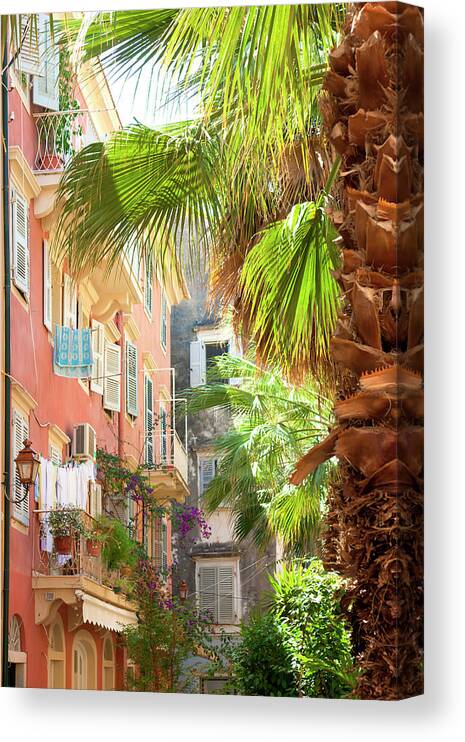 City Canvas Print featuring the photograph Palm and city by Anna Kluba