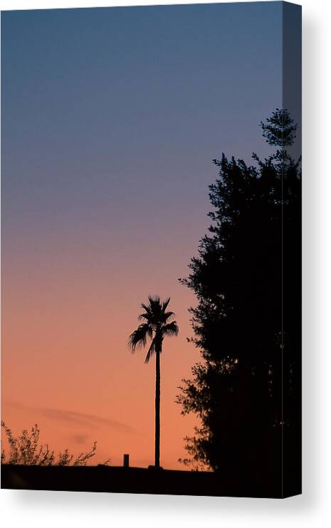Sunset Canvas Print featuring the photograph Palm tree sunset by Darrell Foster