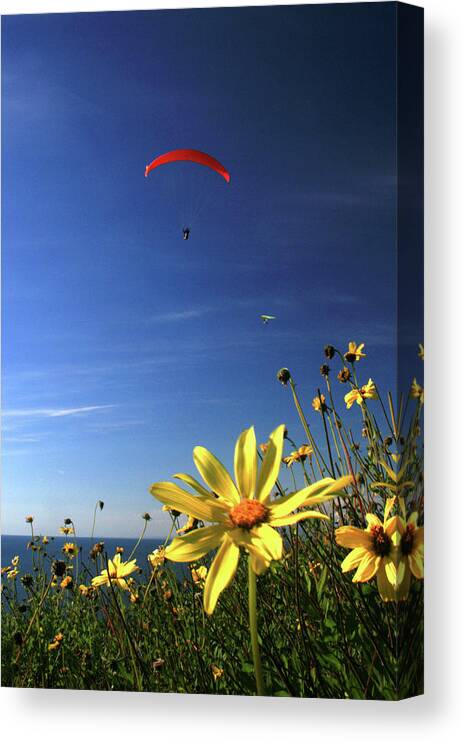 Landscape Canvas Print featuring the photograph Paraglider by Scott Cunningham