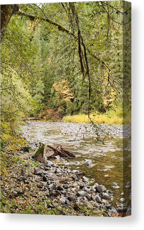 Molalla Canvas Print featuring the photograph Peaceful Molalla River by Brian Eberly