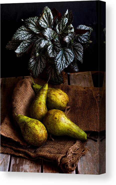 Freshness Canvas Print featuring the photograph Pears by Marija Kordi?