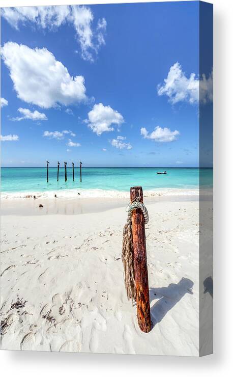 Aruba Canvas Print featuring the photograph Pelicans Perch by David Letts