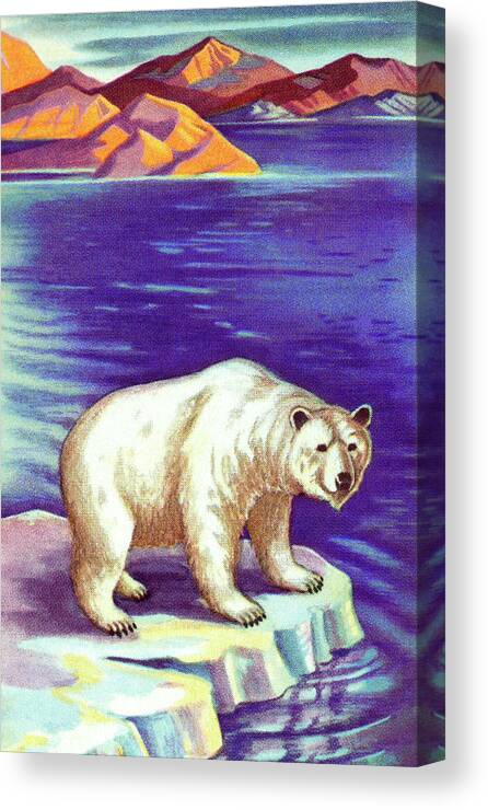 Animal Canvas Print featuring the drawing Polar Bear by CSA Images