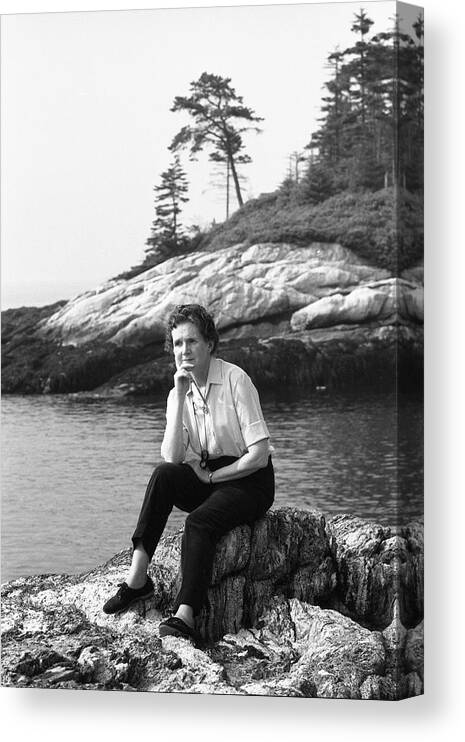 One Person Canvas Print featuring the photograph Portrait Of Rachel Carson by Alfred Eisenstaedt