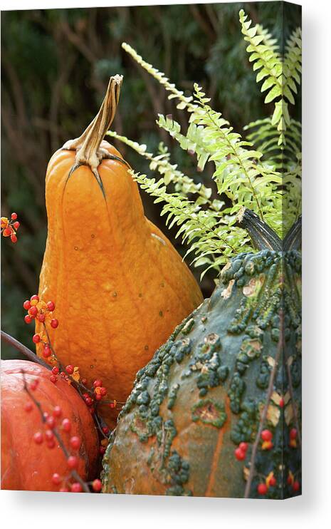 Garden Canvas Print featuring the photograph Pumpkin power by Garden Gate magazine