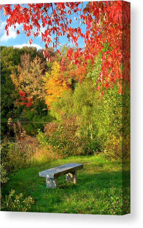 Autumn Canvas Print featuring the photograph Quiet Autumn Moments by Luke Moore
