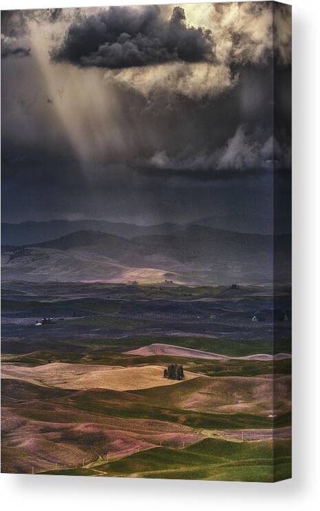 Palouse Canvas Print featuring the photograph Rain Clouds by Lydia Jacobs