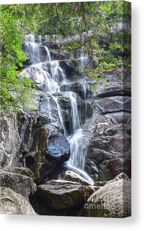 Ramsey Cascades Canvas Print featuring the photograph Ramsey Cascades 8 by Phil Perkins