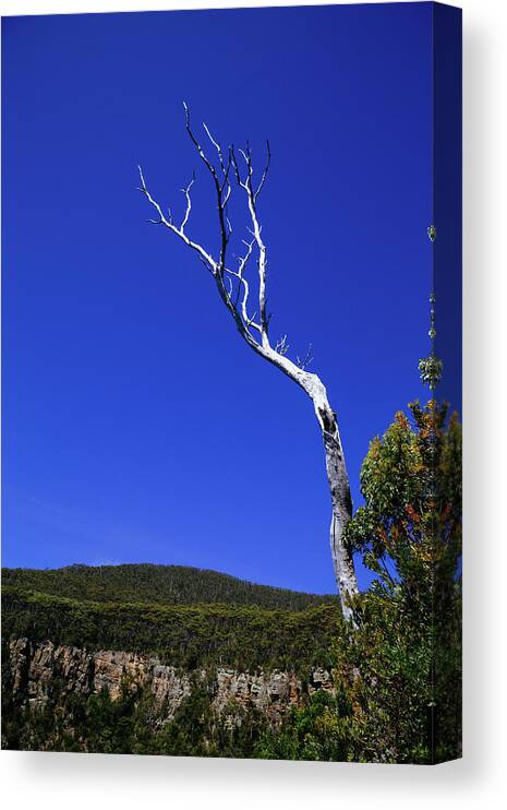 Australia Canvas Print featuring the photograph Reach for the vast blue exapnse by Jonathan Keane