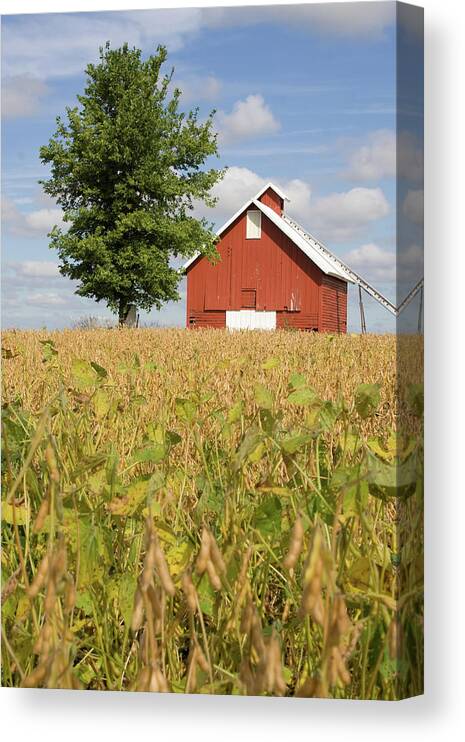 Red Crib September Canvas Print featuring the photograph Red Crib September by Dylan Punke