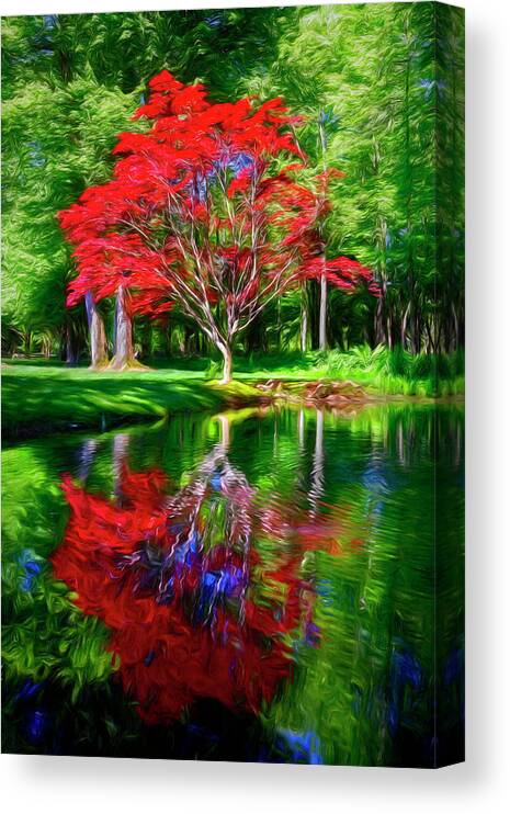 Fall Canvas Print featuring the photograph Red Japanese Maples Painting by Debra and Dave Vanderlaan