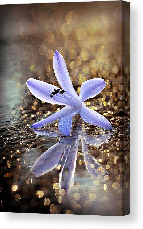 Blue Canvas Print featuring the photograph Reflections of Joy by Michelle Wermuth