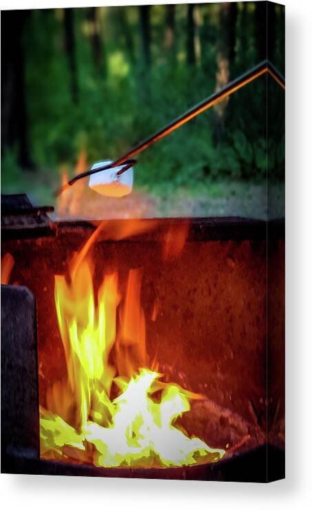 Camping Canvas Print featuring the photograph Roasting marshmallows by Thomas Nay