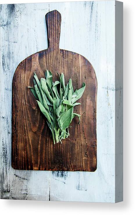 Ip_11439846 Canvas Print featuring the photograph Sage On A Wooden Board by Milo Brown