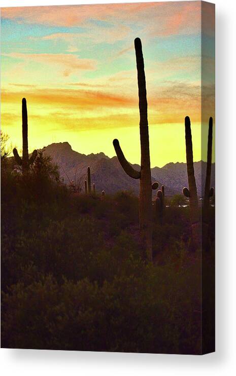 Saguaro Canvas Print featuring the photograph Saguaro Cacti and Tucson Mountains at Sunset by Chance Kafka