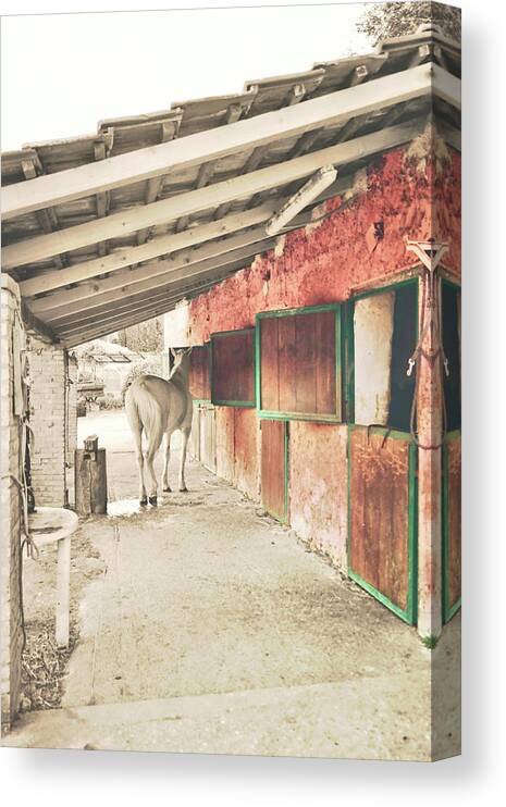 Ancient Canvas Print featuring the photograph Scuderia by JAMART Photography