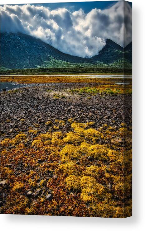 Scotland Canvas Print featuring the photograph Seaweed, Mountains, and Clouds - Scotland by Stuart Litoff