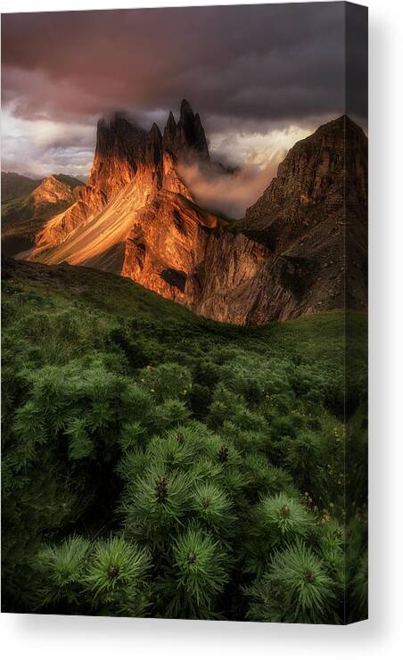 Seceda Canvas Print featuring the photograph Seceda Summer by Stan Huang