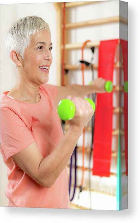 Senior Canvas Print featuring the photograph Senior Woman Exercising With Dumbbells by Microgen Images/science Photo Library