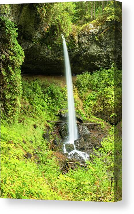 Waterfall Canvas Print featuring the photograph Side View - North Falls, Oregon by Aashish Vaidya