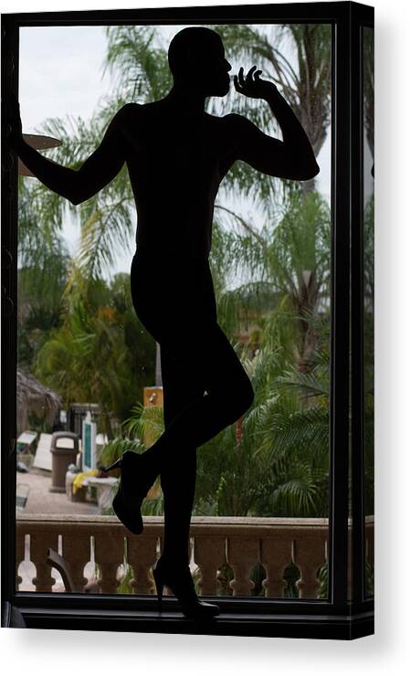 Male Canvas Print featuring the photograph Silhouette II by Jim Lesher