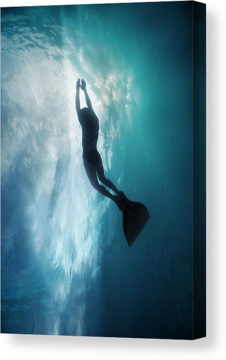 Dive Canvas Print featuring the photograph Sky Dive by Andrey Narchuk